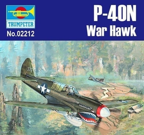 Art Decor Ceramic Sculpture 1:32 P-40N War Hawk Fighter Assembly Kit