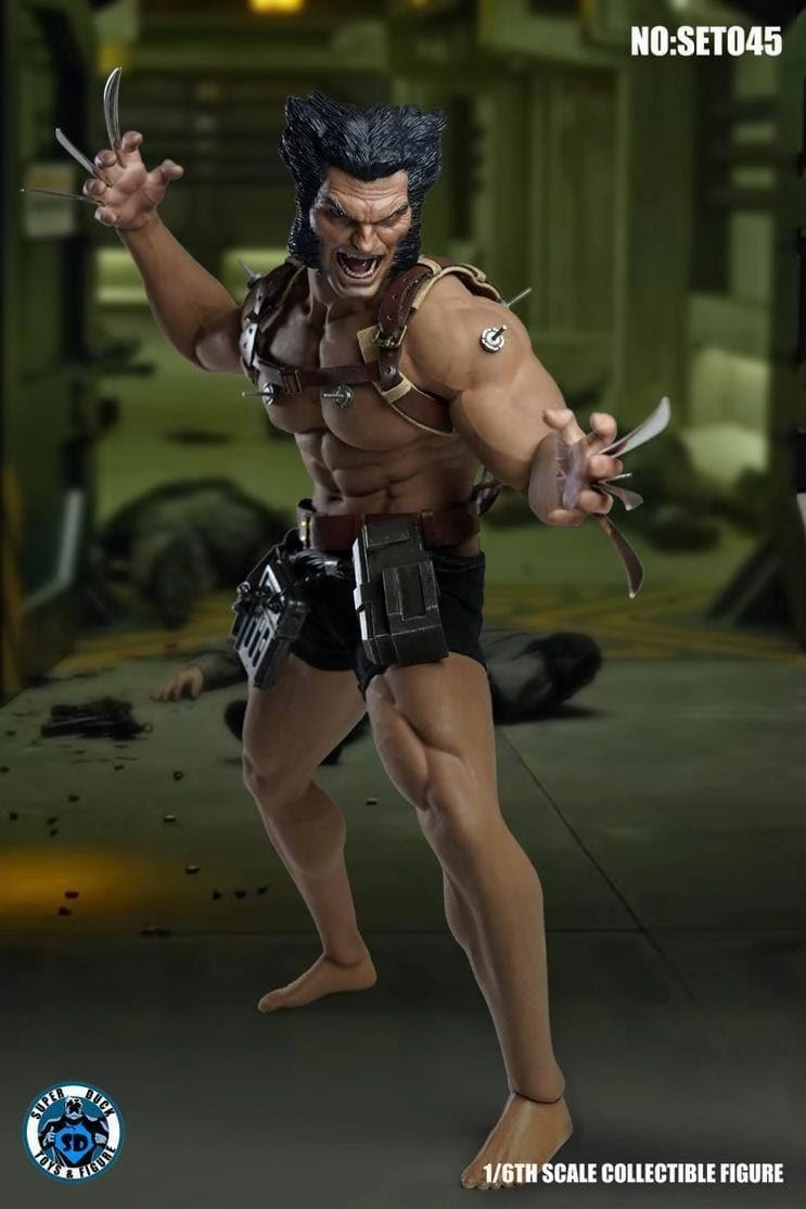 1:6 Wolverine Seamless Figure Miniature Figure Cat Figurine