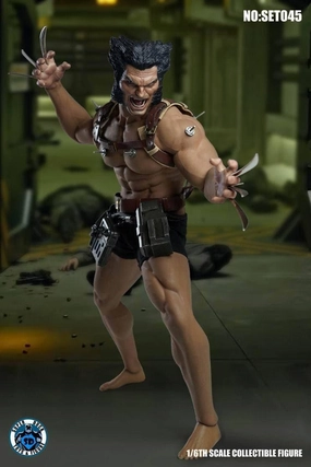 1:6 Wolverine Seamless Figure Miniature Figure Cat Figurine