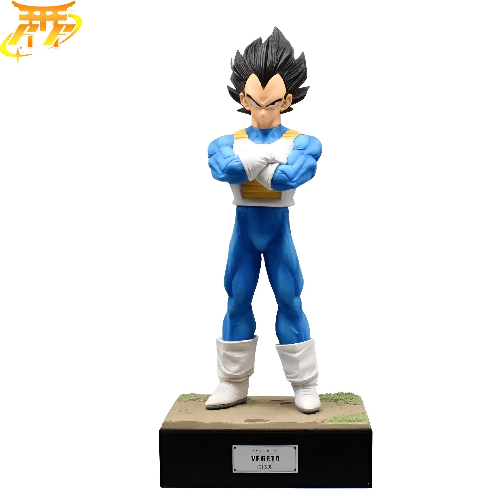 Figurine Prince Vegeta - Dragon Ball Z? Kitchen Decor Press Worthy