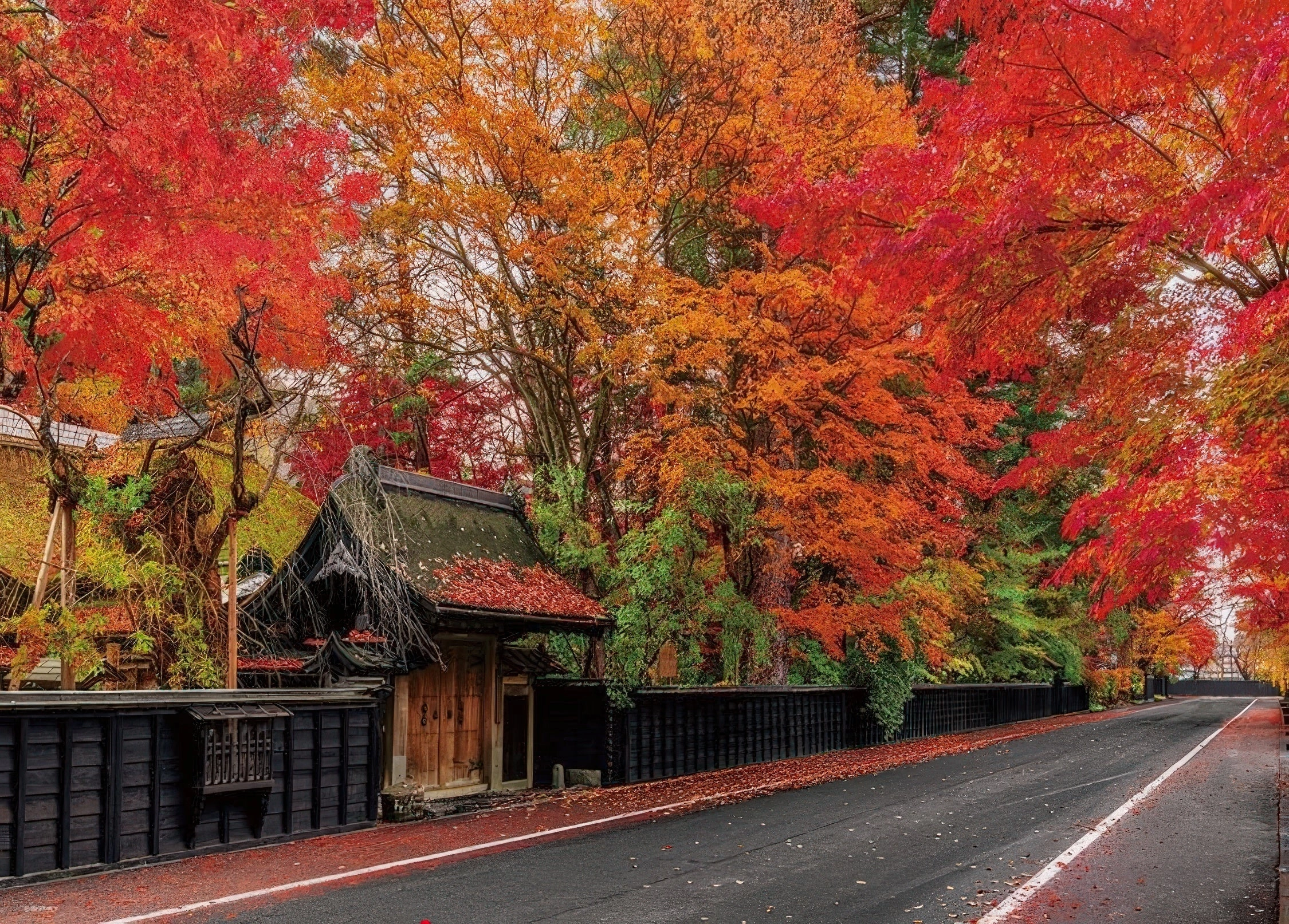 Beverly 600-030??Kakunodate Samurai Residence Street Dyed in Autumn Colors??600 Pieces Jigsaw Puzzle Art Decor