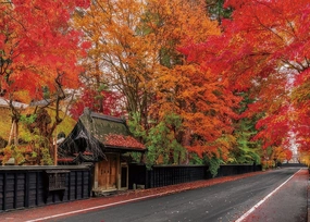 Beverly 600-030??Kakunodate Samurai Residence Street Dyed in Autumn Colors??600 Pieces Jigsaw Puzzle Art Decor