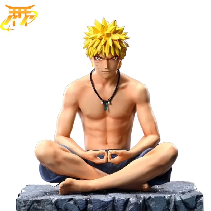 Figurine Naruto "Ermite" - Naruto Shippuden? Mindfulness practice Luxury Gift