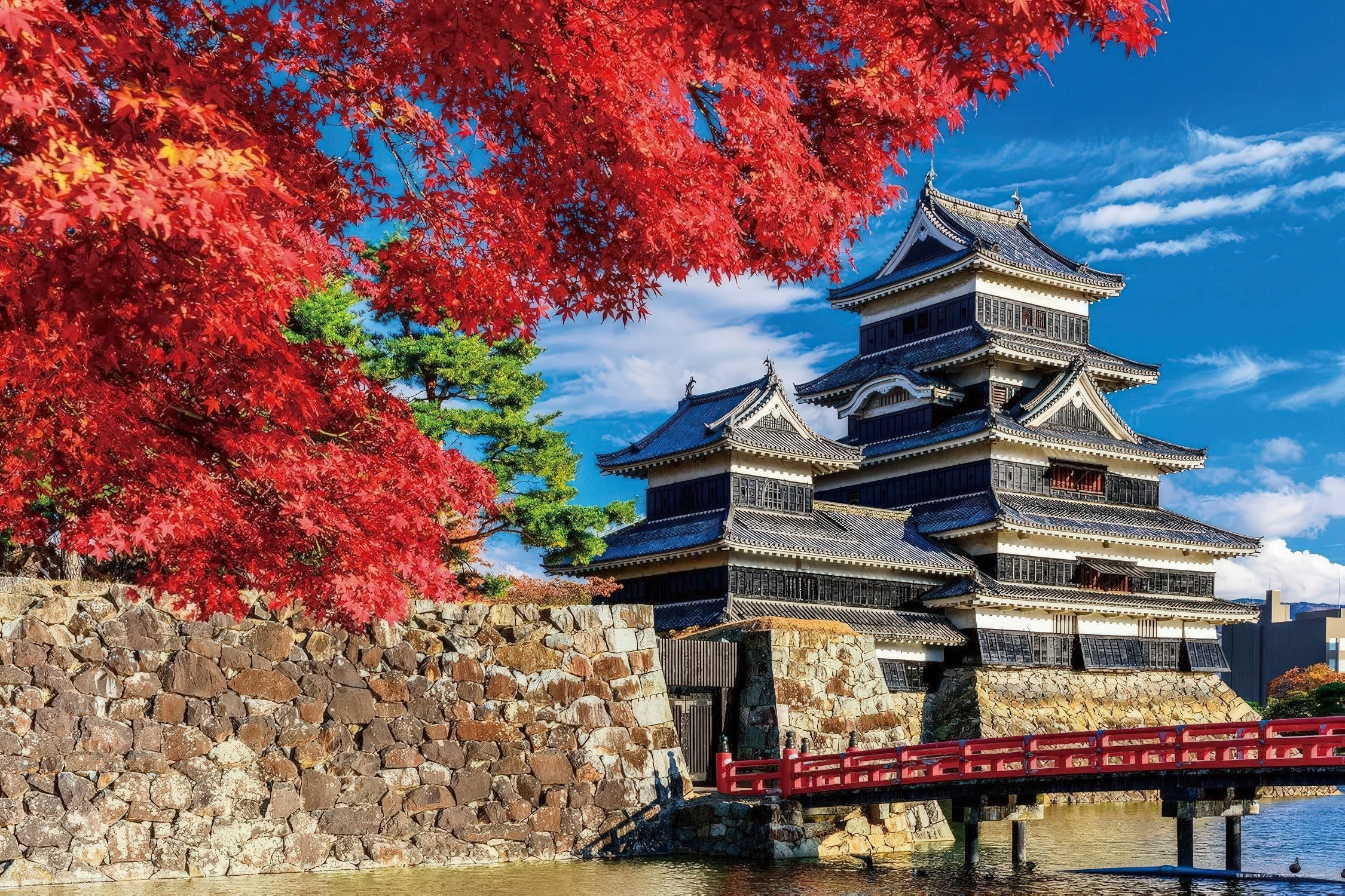 Yanoman 10-1495??Matsumoto Castle (Nagano) in autumn??1000 Pieces Jigsaw Puzzle Vinyl Unit